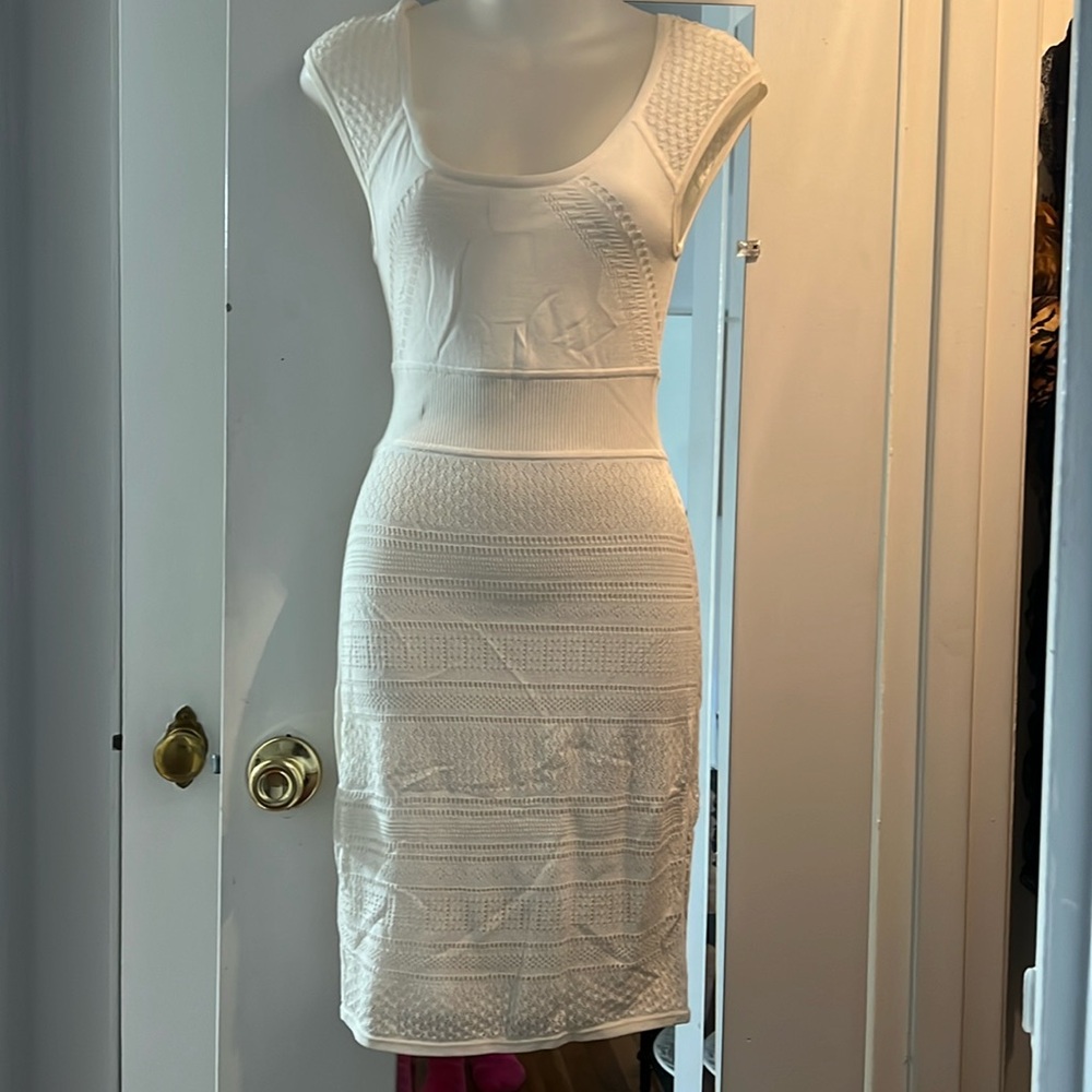 Bebe Beautiful Knit Dress